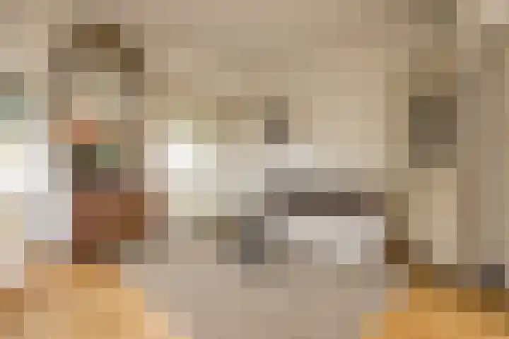 Jan Tooropplantsoen 2 Amstelveen thumbnail 7