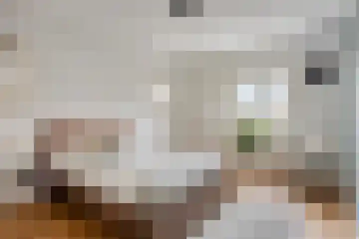 Jan Tooropplantsoen 6 Amstelveen thumbnail 17
