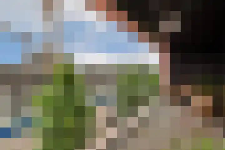 Jan Tooropstraat 101 Amsterdam thumbnail 10