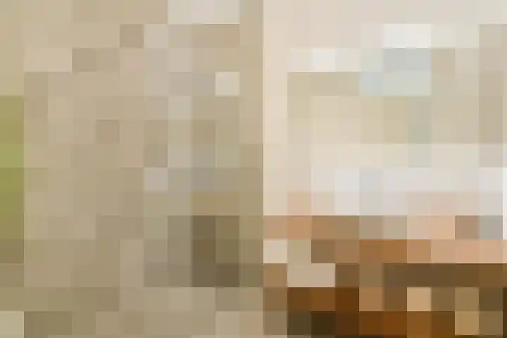 Jan Tooropstraat 101 Amsterdam thumbnail 12