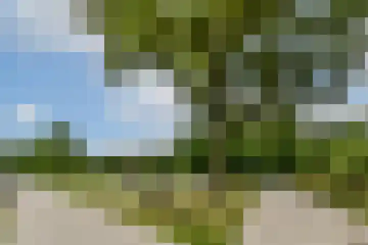 Jan Tooropstraat 101 Amsterdam thumbnail 23