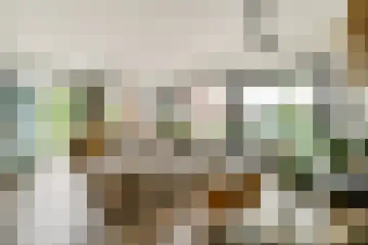 Jan Tooropstraat 101 Amsterdam thumbnail 5