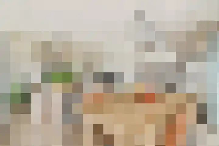 Jan Tooropstraat 101 Amsterdam thumbnail 7