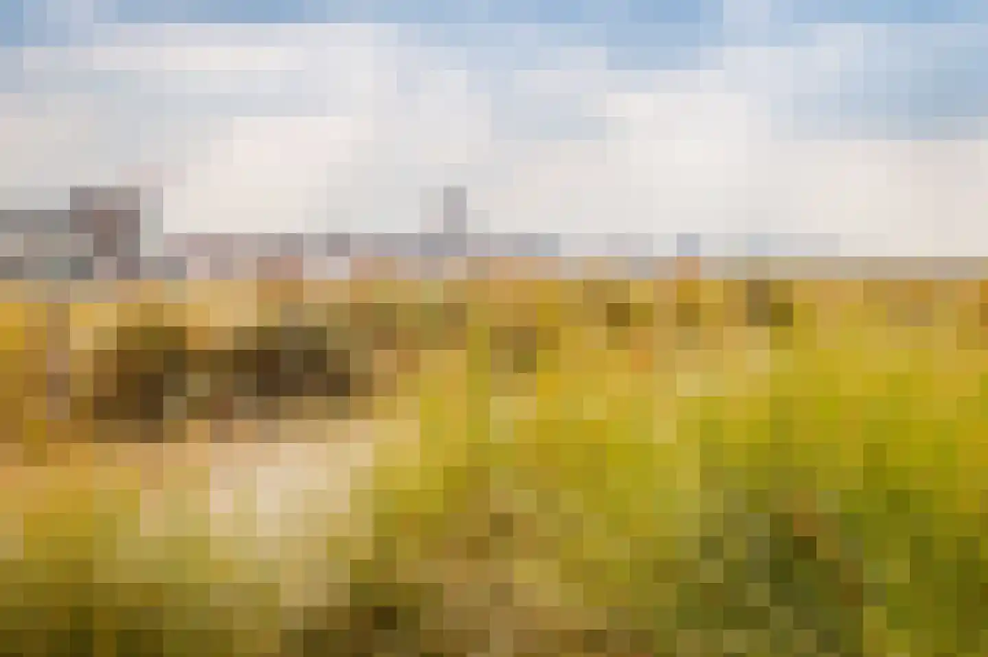 Jan Tooropstraat 102 Katwijk thumbnail 51