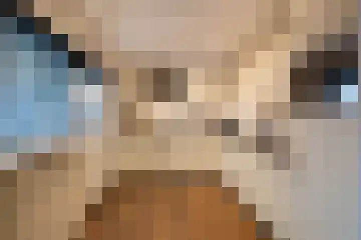 Jan Tooropstraat 11 Almelo thumbnail 11