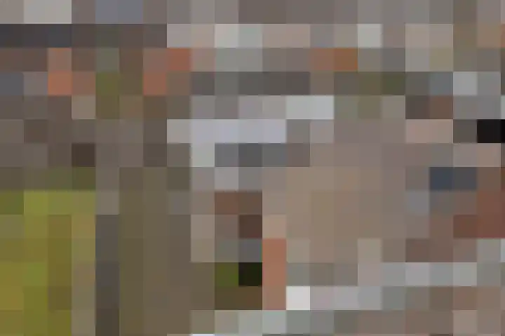 Jan Tooropstraat 11 Almelo thumbnail 22