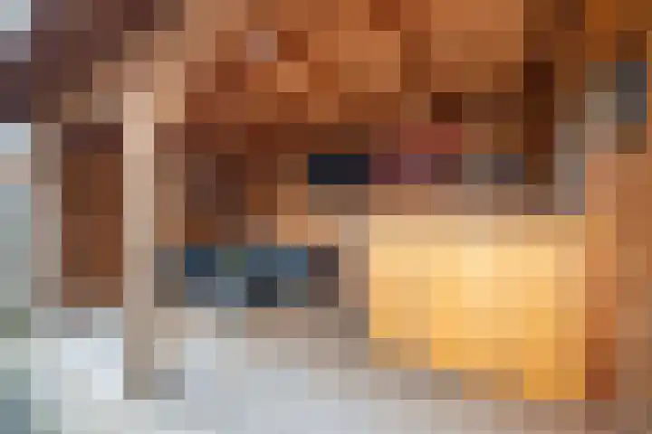Jan Tooropstraat 11 Almelo thumbnail 27