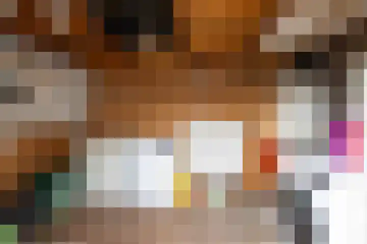 Jan Tooropstraat 11 Almelo thumbnail 29