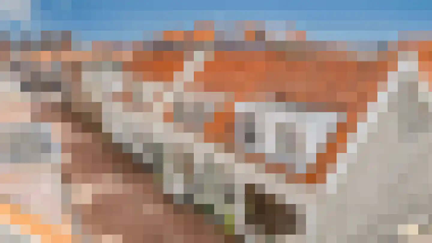 Jan Tooropstraat 11 G Katwijk thumbnail 47
