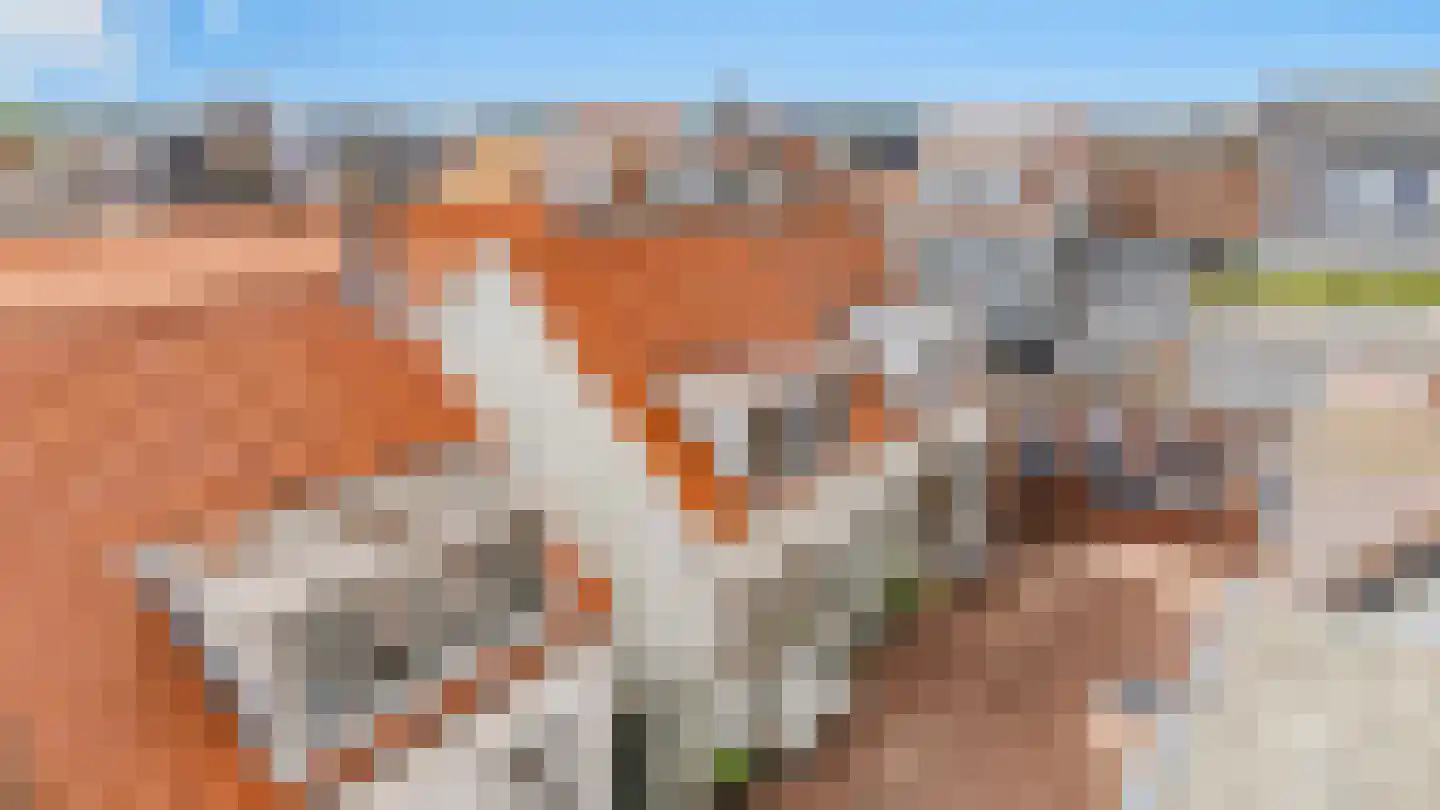 Jan Tooropstraat 11 G Katwijk thumbnail 8
