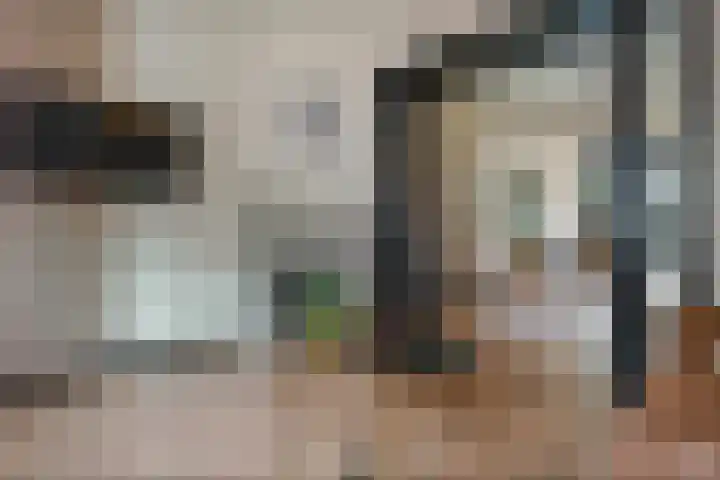 Jan Tooropstraat 11 Zwolle thumbnail 13