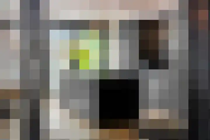 Jan Tooropstraat 11 Zwolle thumbnail 15