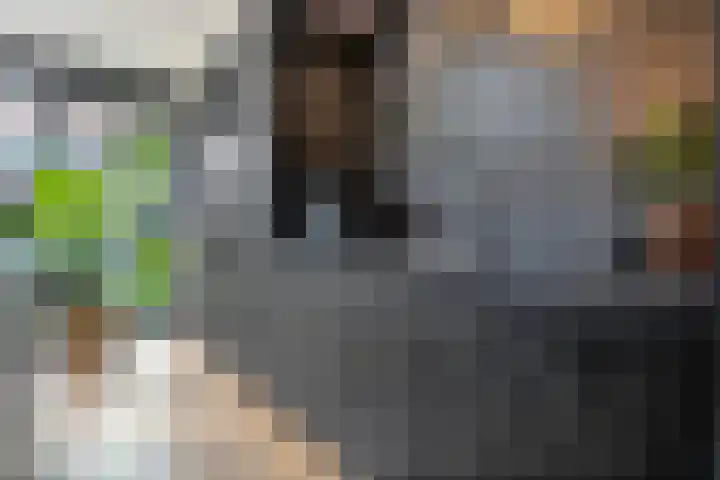 Jan Tooropstraat 11 Zwolle thumbnail 18