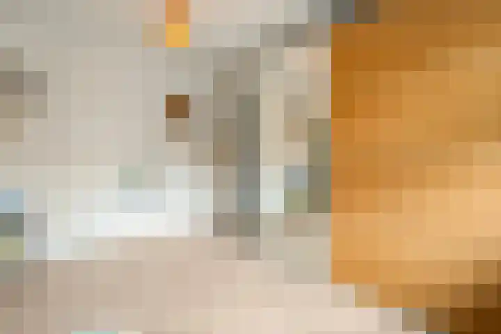 Jan Tooropstraat 11 Zwolle thumbnail 28