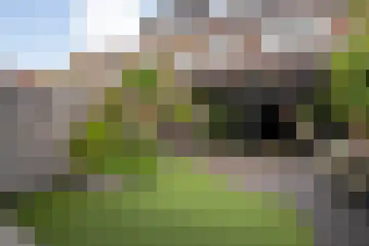 Jan Tooropstraat 11 Zwolle thumbnail 39