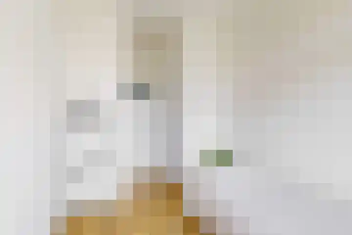 Jan Tooropstraat 116 1 Amsterdam thumbnail 16