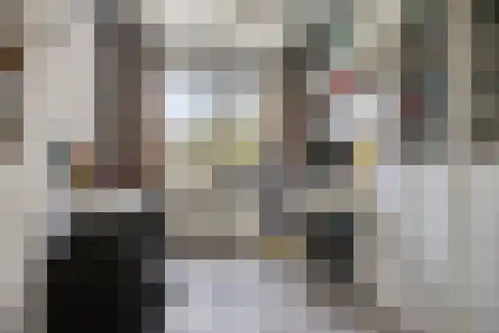Jan Tooropstraat 13 Oud-Beijerland thumbnail 16