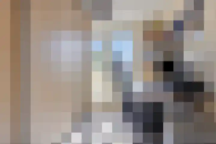 Jan Tooropstraat 13 Oud-Beijerland thumbnail 17