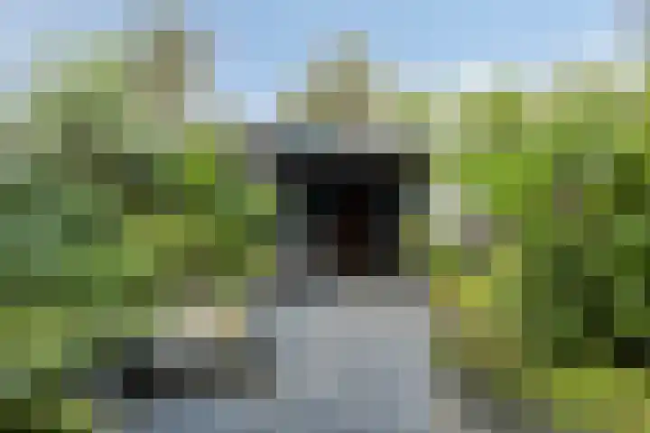 Jan Tooropstraat 13 Oud-Beijerland thumbnail 21