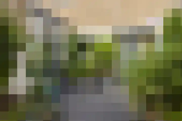 Jan Tooropstraat 13 Oud-Beijerland thumbnail 23
