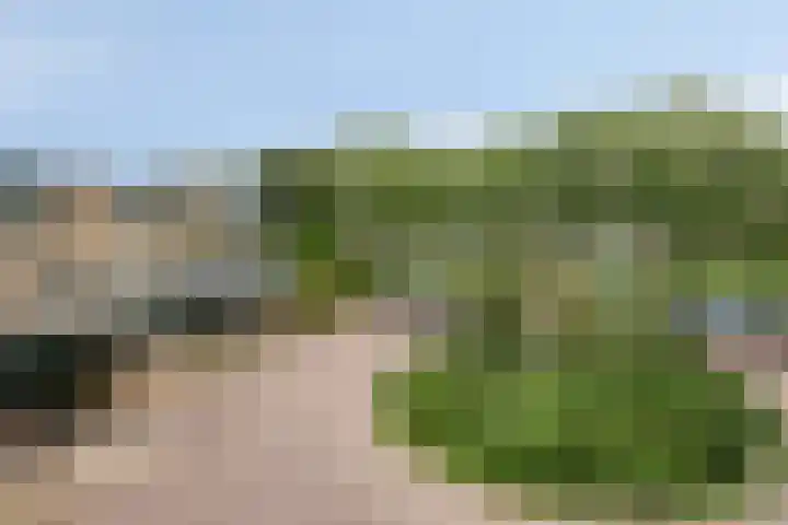 Jan Tooropstraat 13 Oud-Beijerland thumbnail 24
