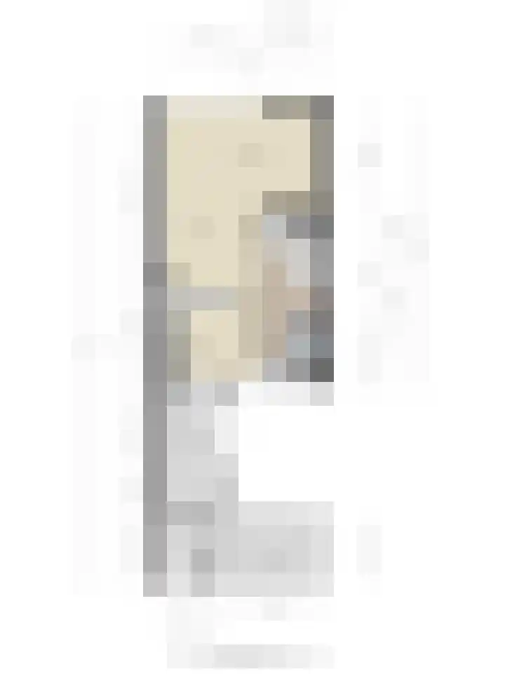 Jan Tooropstraat 13 Oud-Beijerland thumbnail 28