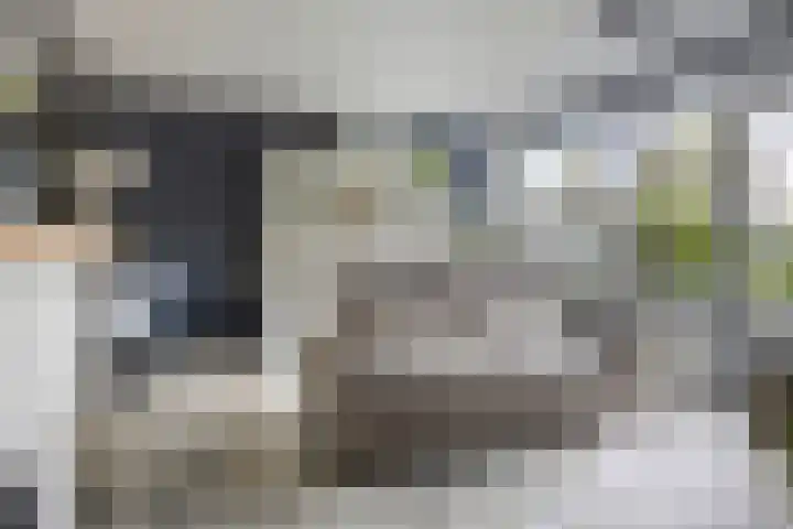 Jan Tooropstraat 13 Oud-Beijerland thumbnail 8