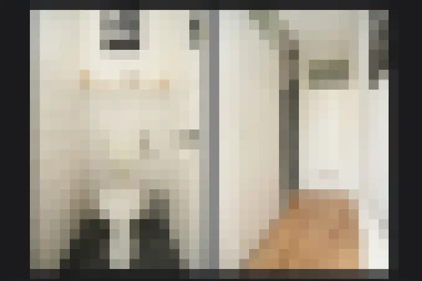 Jan Tooropstraat 15 Vlijmen thumbnail 10