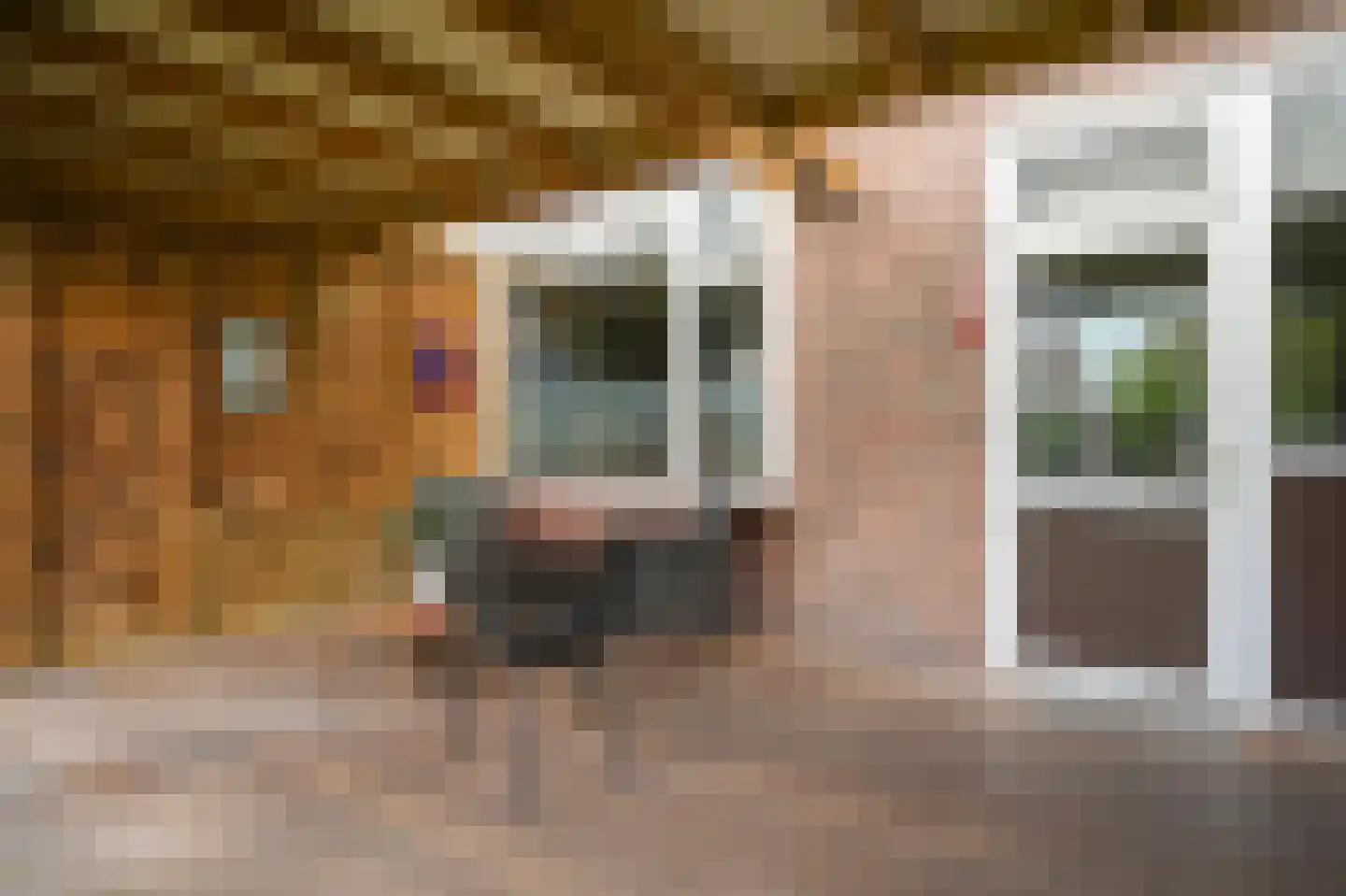 Jan Tooropstraat 15 Vlijmen thumbnail 20