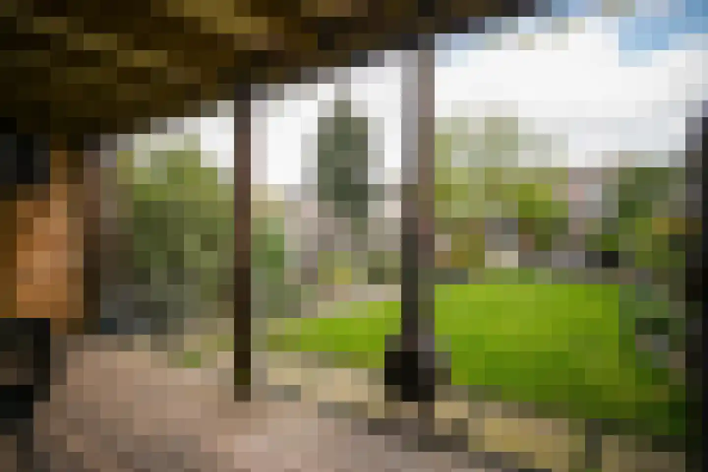 Jan Tooropstraat 15 Vlijmen thumbnail 22