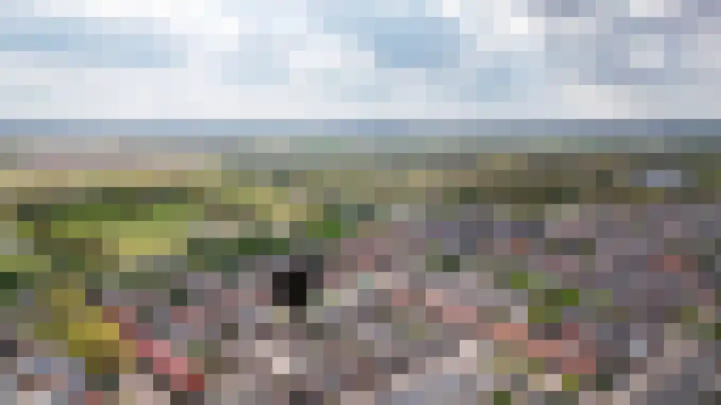 Jan Tooropstraat 15 Vlijmen thumbnail 31