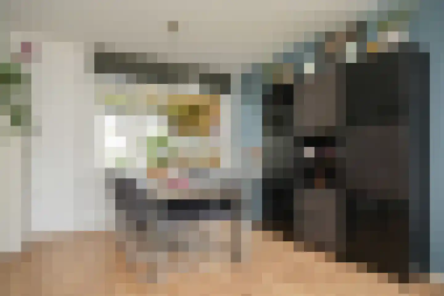 Jan Tooropstraat 15 Vlijmen thumbnail 5