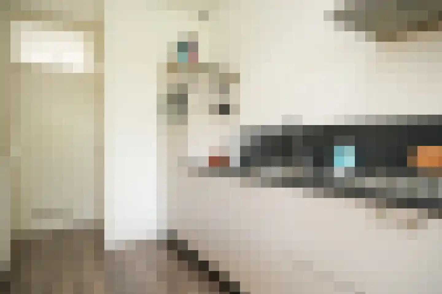 Jan Tooropstraat 15 Vlijmen thumbnail 9