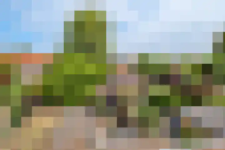 Jan Tooropstraat 16 Amersfoort thumbnail 31