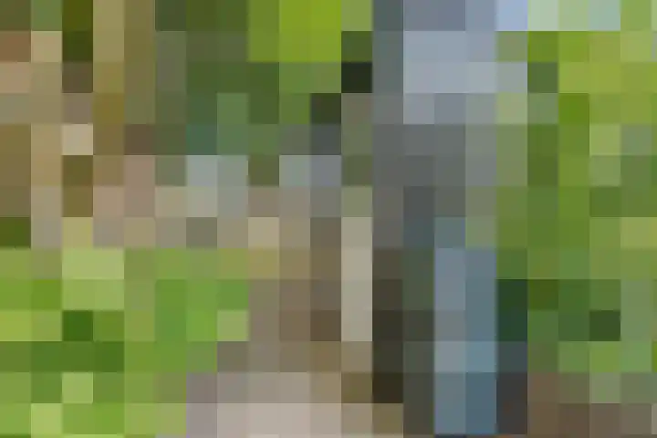 Jan Tooropstraat 16 Amersfoort thumbnail 39