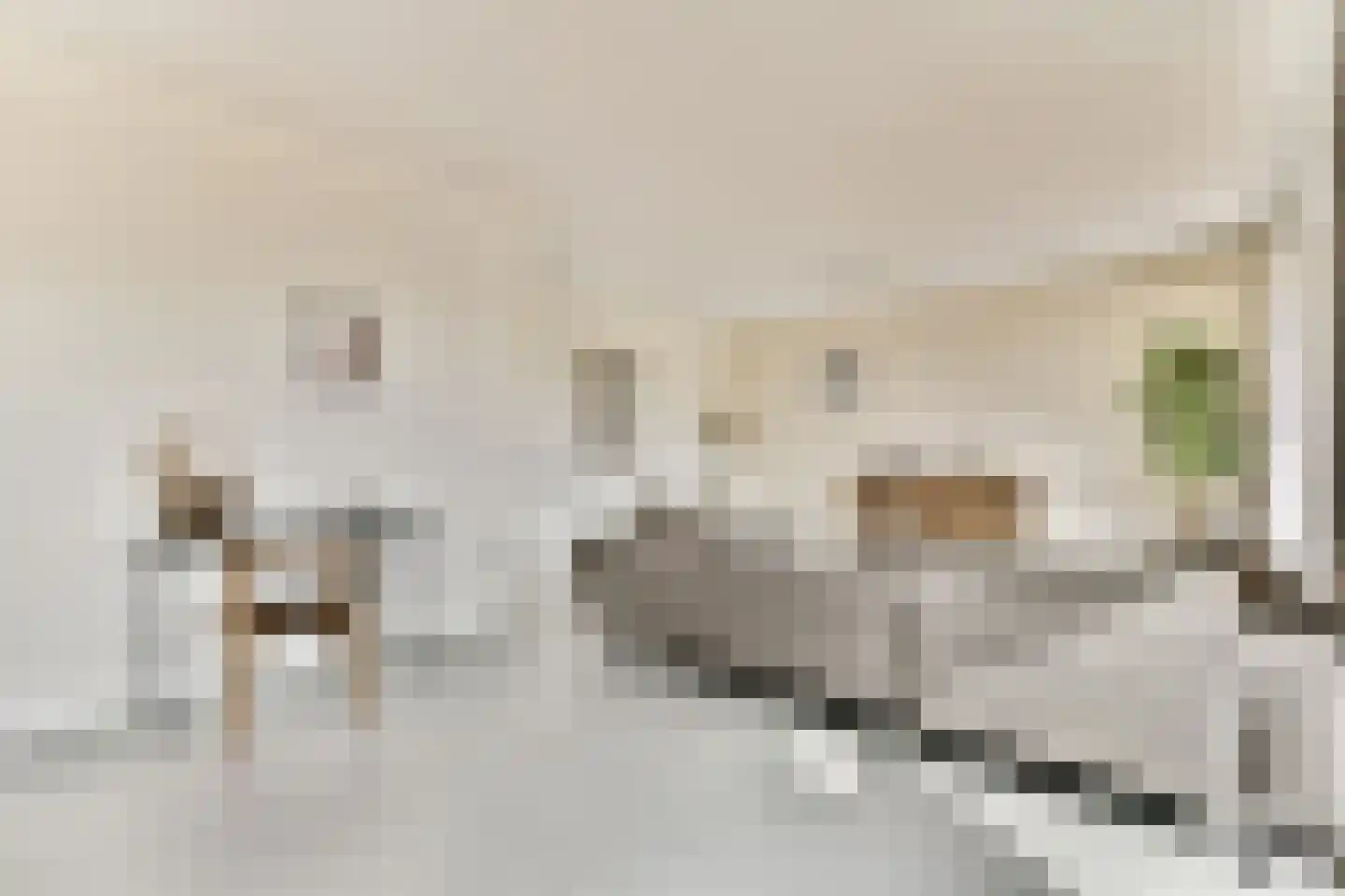 Jan Tooropstraat 18 Amsterdam thumbnail 13