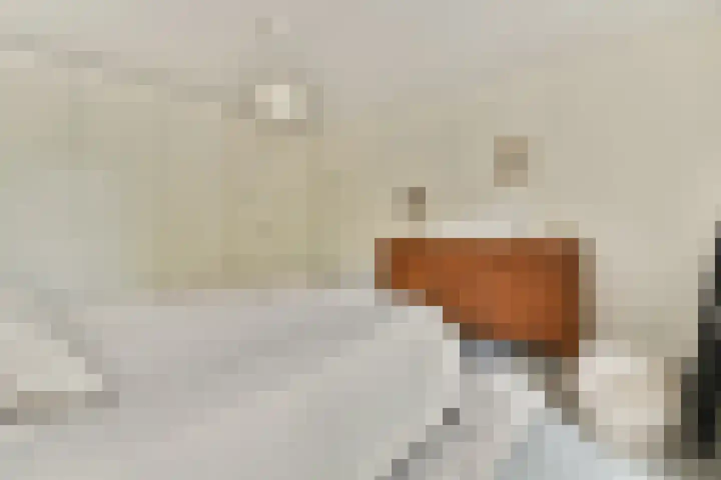 Jan Tooropstraat 18 Amsterdam thumbnail 23