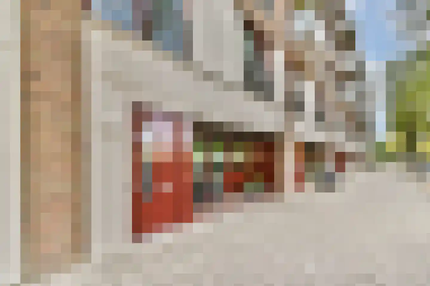 Jan Tooropstraat 18 Amsterdam thumbnail 37