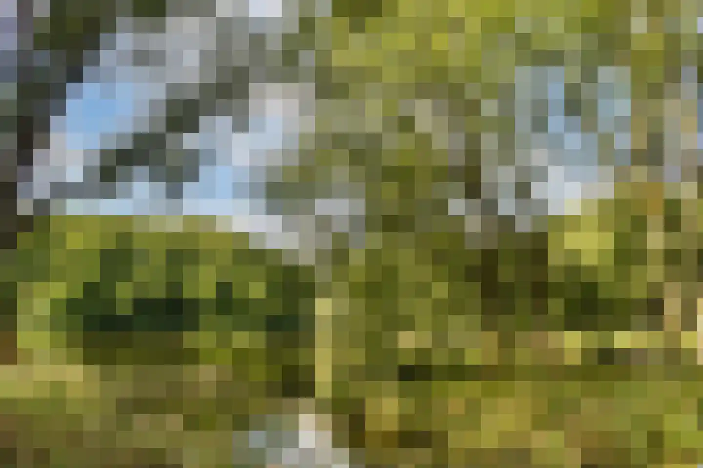 Jan Tooropstraat 18 Amsterdam thumbnail 42