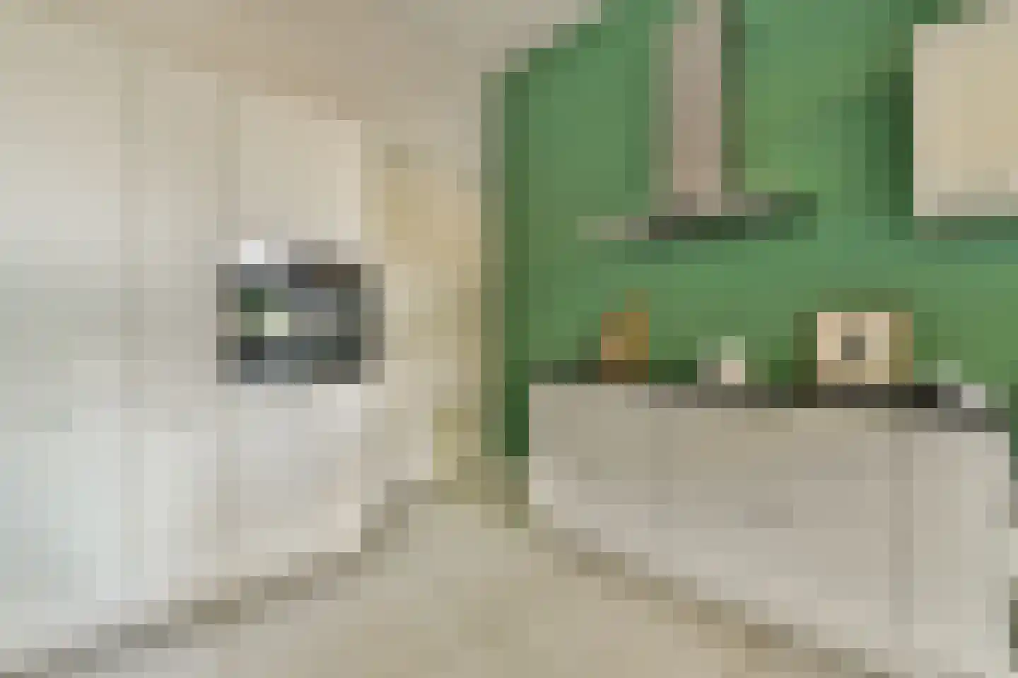 Jan Tooropstraat 18 Amsterdam thumbnail 6