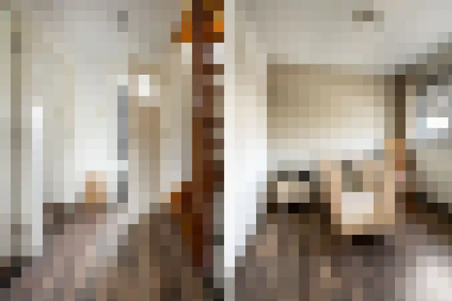 Jan Tooropstraat 2 Roosendaal thumbnail 22