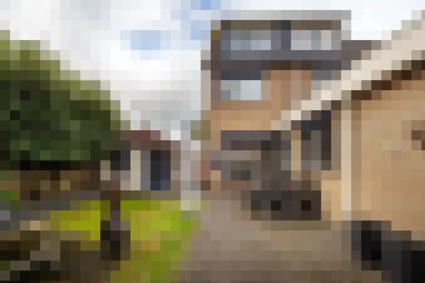 Jan Tooropstraat 2 Roosendaal thumbnail 34