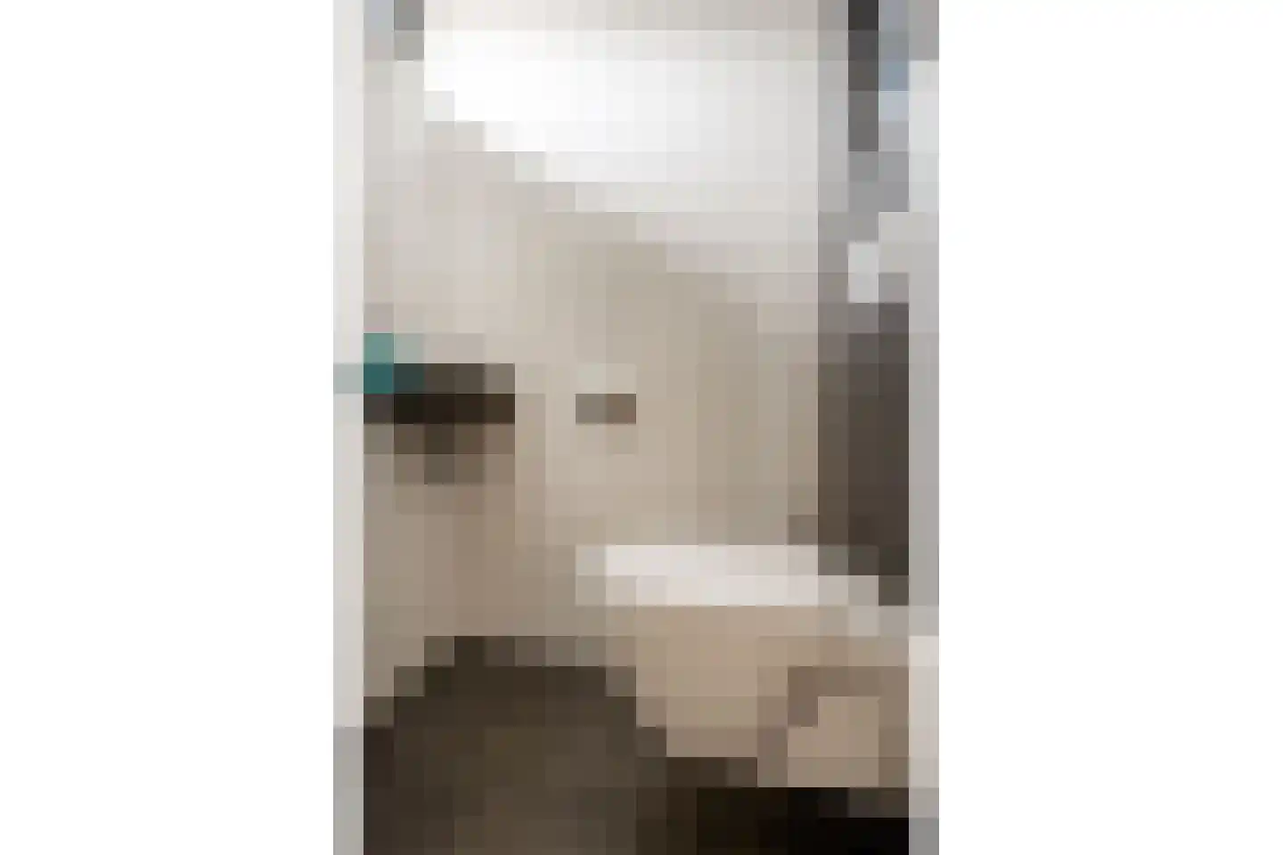 Jan Tooropstraat 2 Roosendaal thumbnail 7