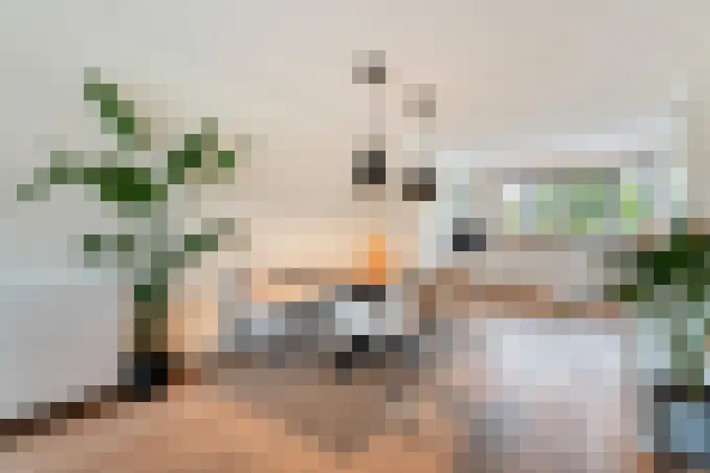 Jan Tooropstraat 21 Ommen thumbnail 11