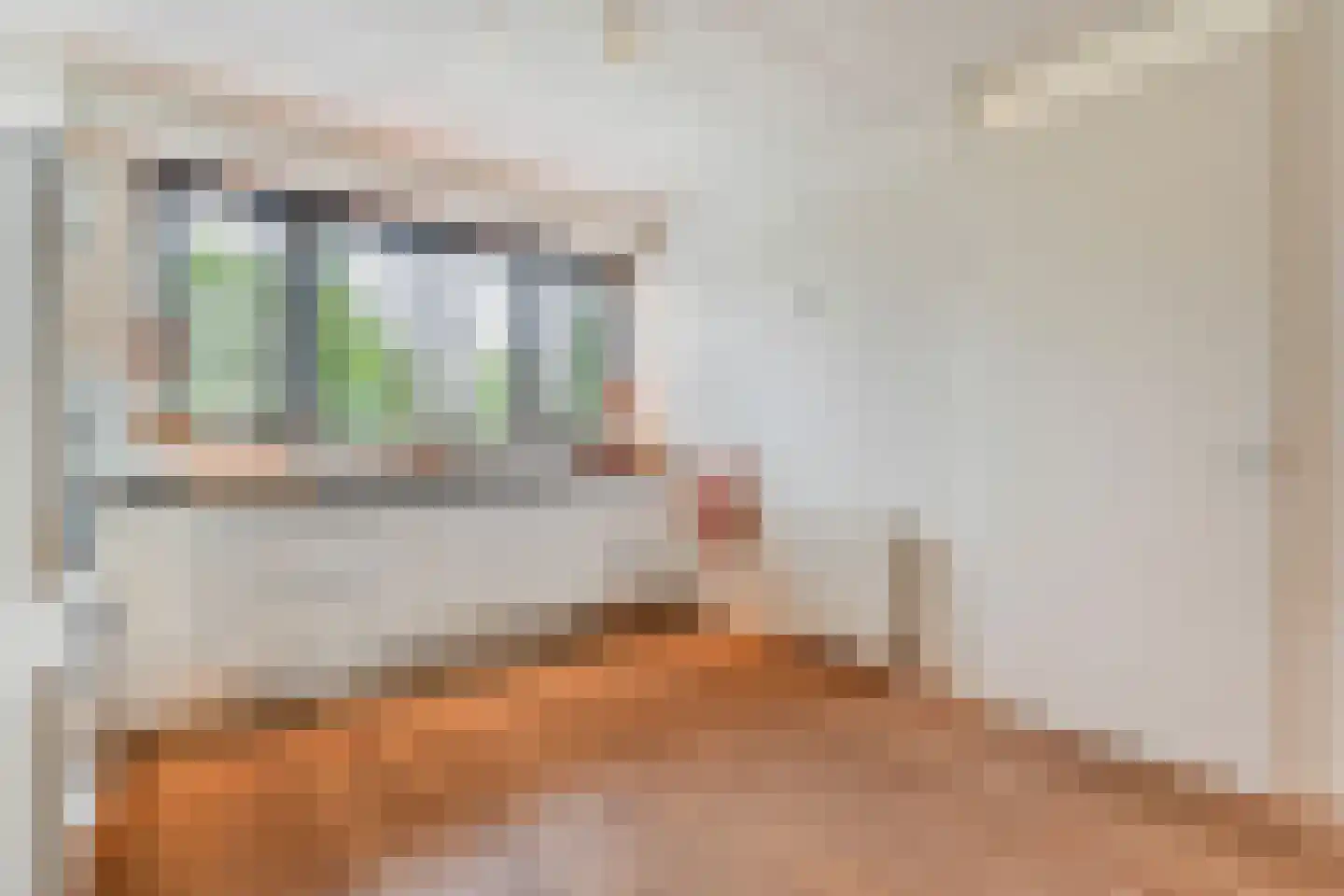 Jan Tooropstraat 21 Ommen thumbnail 13