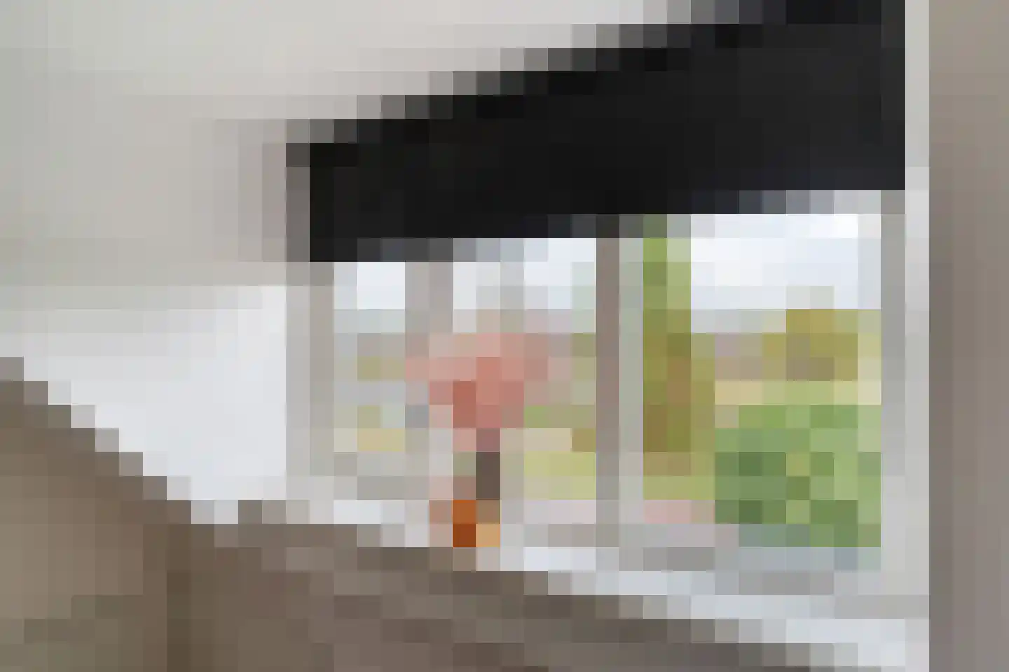 Jan Tooropstraat 21 Ommen thumbnail 26