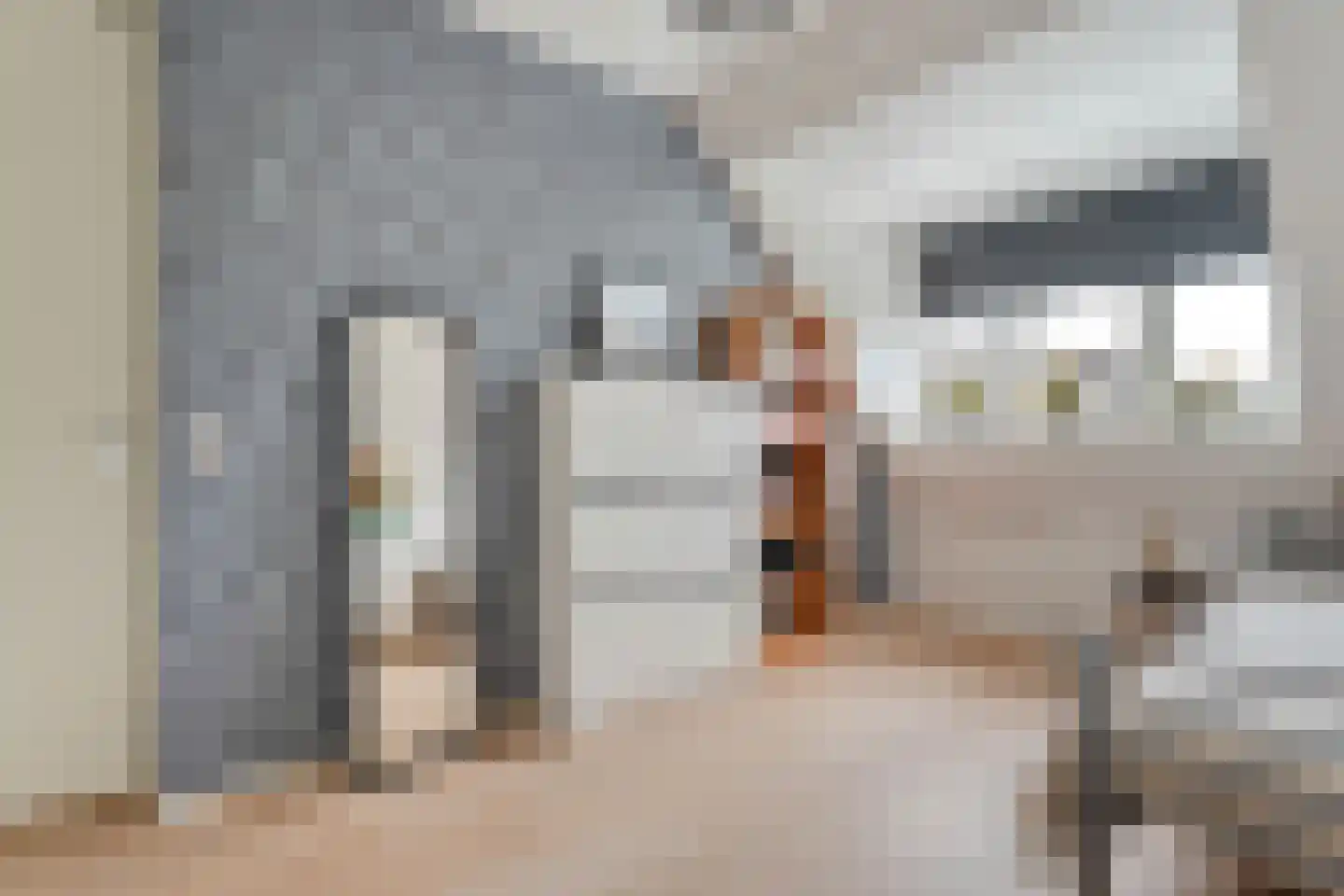 Jan Tooropstraat 21 Ommen thumbnail 30