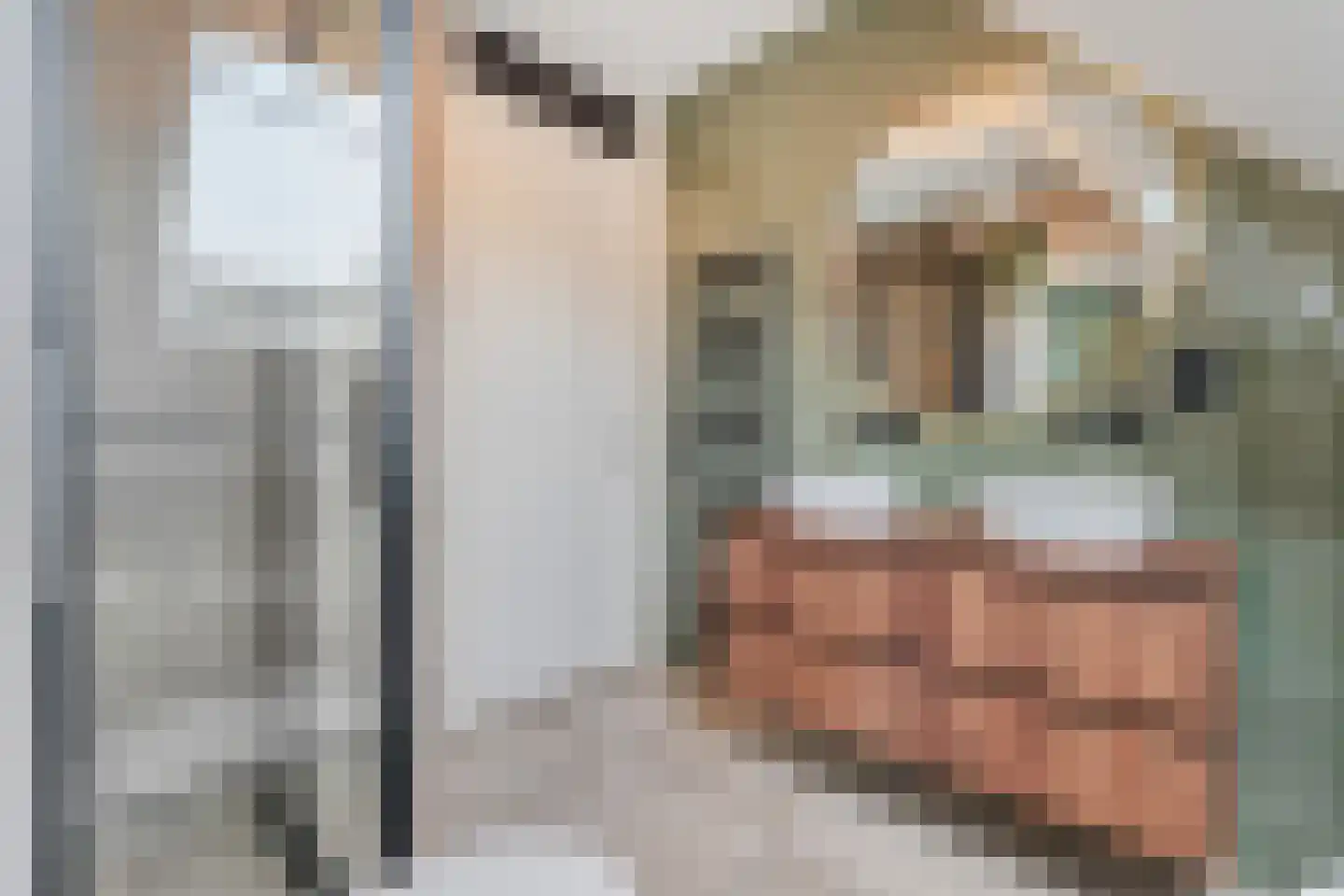 Jan Tooropstraat 21 Ommen thumbnail 36