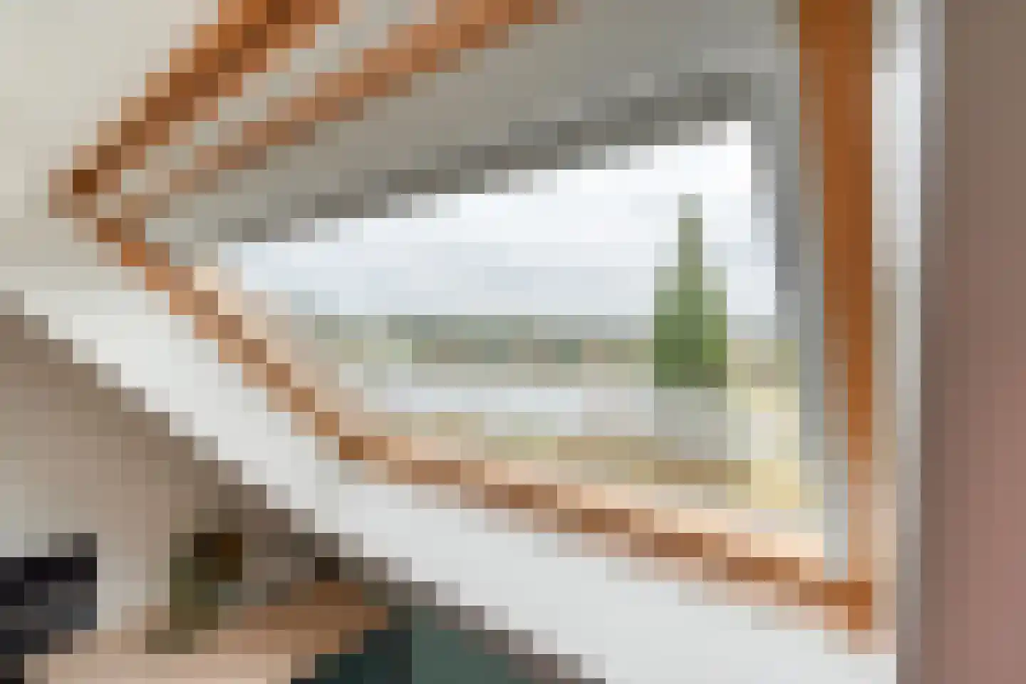 Jan Tooropstraat 21 Ommen thumbnail 40