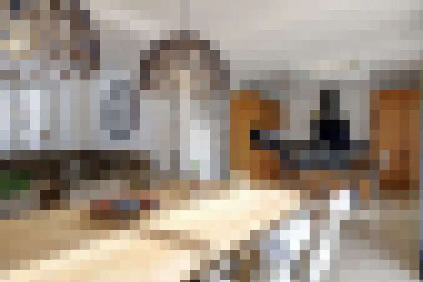 Jan Tooropstraat 27 Katwijk thumbnail 15